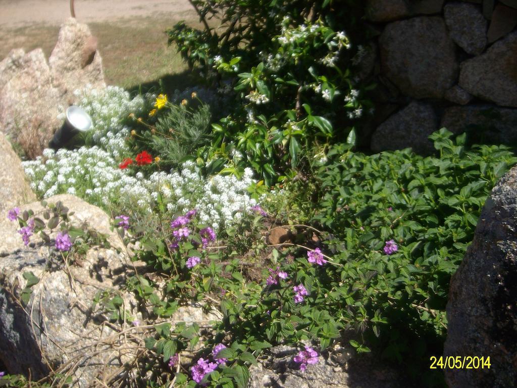 Agriturismo Spridda Acomodação com café da manhã Arzachena Exterior foto