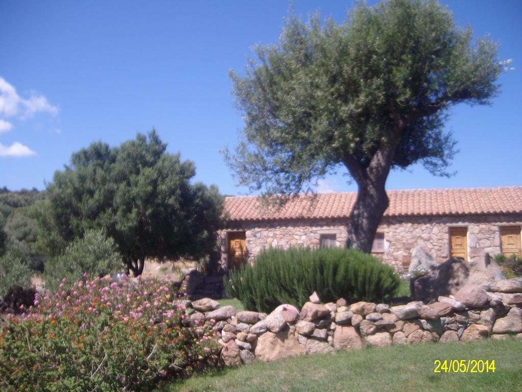Agriturismo Spridda Acomodação com café da manhã Arzachena Exterior foto